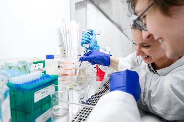 В Ленинградской области стартовал новый сезон конкурса «Большие вызовы»